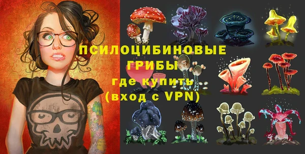 гашиш Богданович