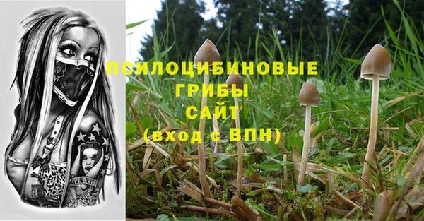 прущий лед Белоозёрский