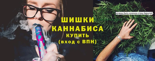 ECSTASY Белокуриха