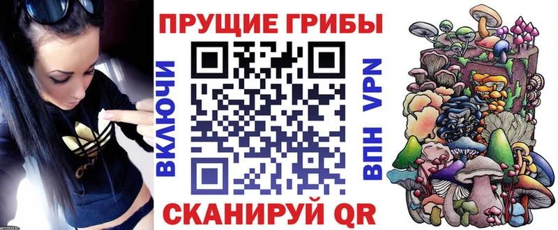 Псилоцибиновые грибы Psilocybine cubensis  Болотное 